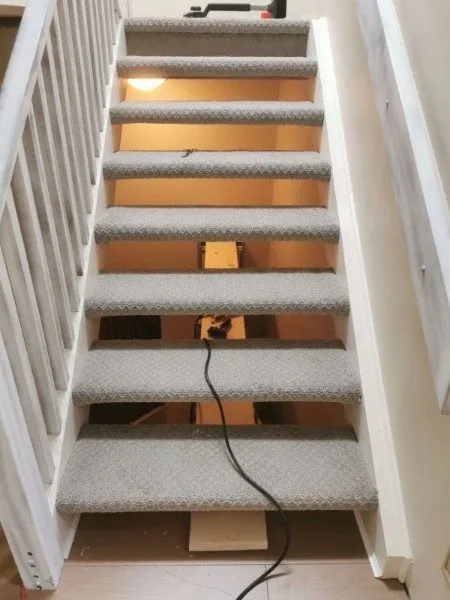 Carpeted basement stairs